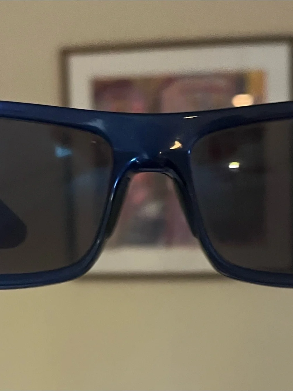 Revo Blue Polarized Blue mirrored blue lens sunglasses for men or women.